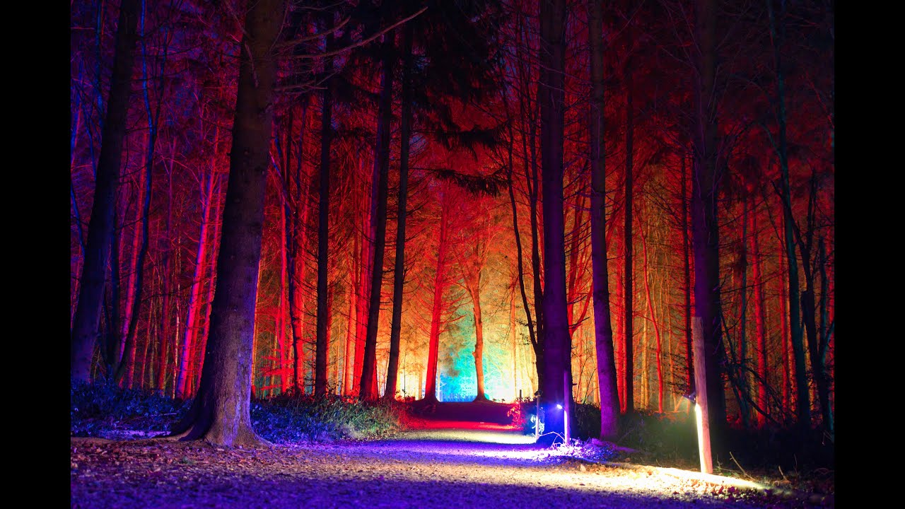 Fürstliches Winterleuchten in Bad Waldsee: Golf-Resorts in einem ganz besonderen Licht