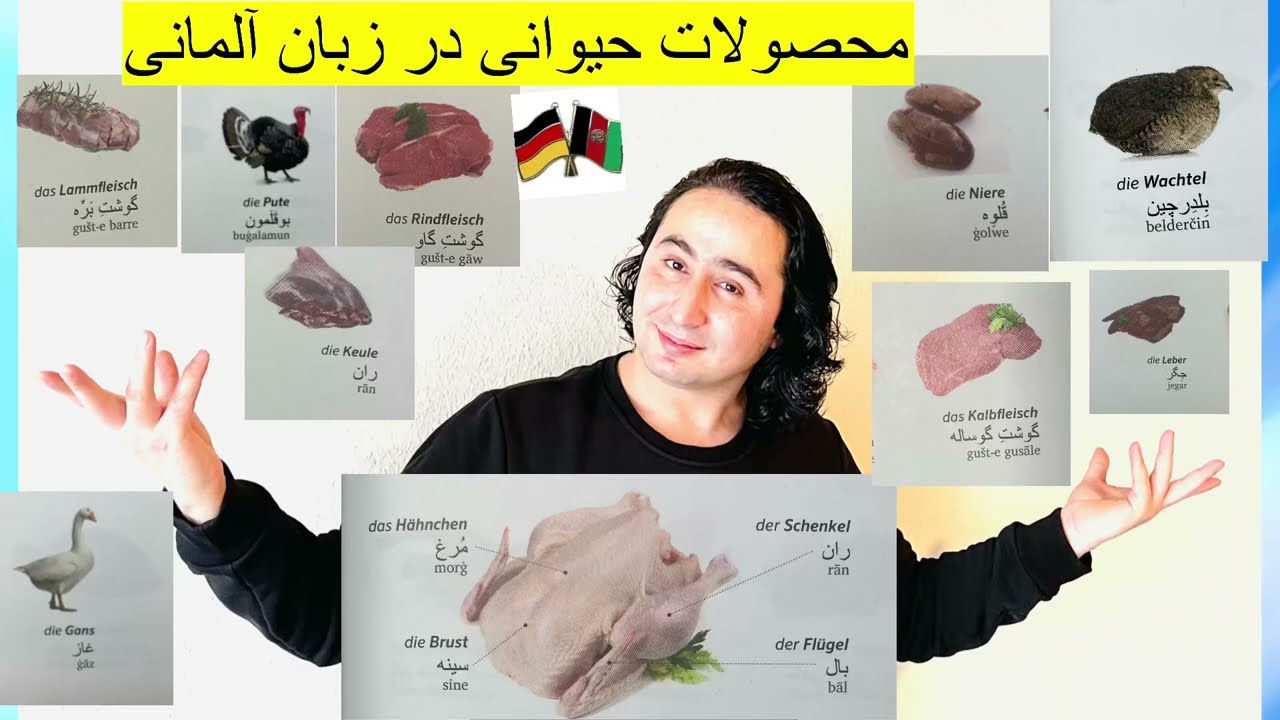 محصولات حیوانی :انواع گوشت ها در زبان آلمانی با دیدن این ویدیو برای همیشه یاد می‌گرید