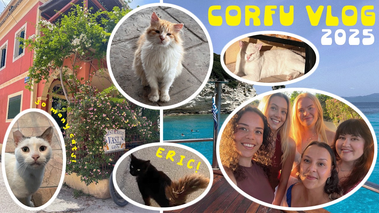 The Cats of Corfu | Girl's Trip | May 2025 Travel Vlog