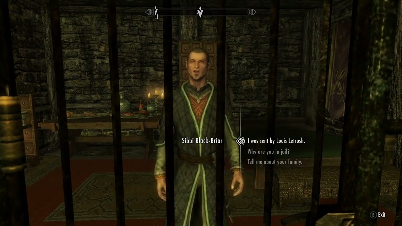 Skyrim V - Best Member Of The Thieves Guild