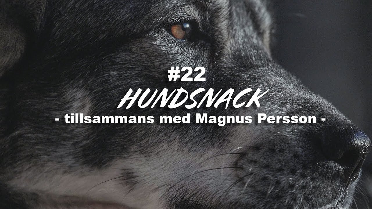 Hundsnack tillsammans med PN Jakt och Magnus Persson
