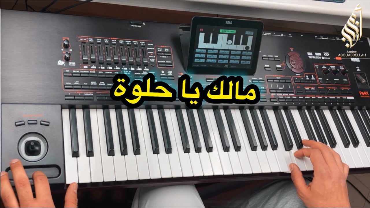 موسيقى مالك ياا حلوة ❤️ سلطنة على الأورغ - Malik yaa hilwa