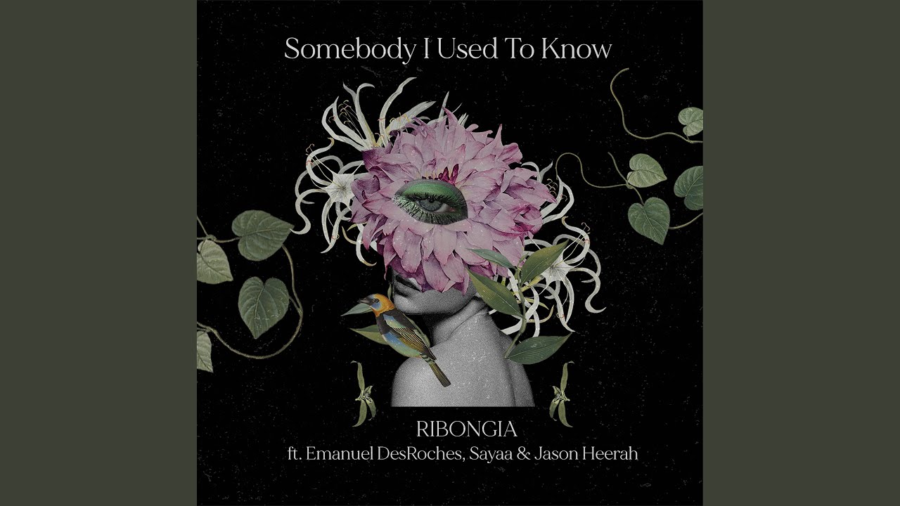 Somebody That I Used To Know (feat. Emmanuel Desroches, Sayaa, Jason Heerah)