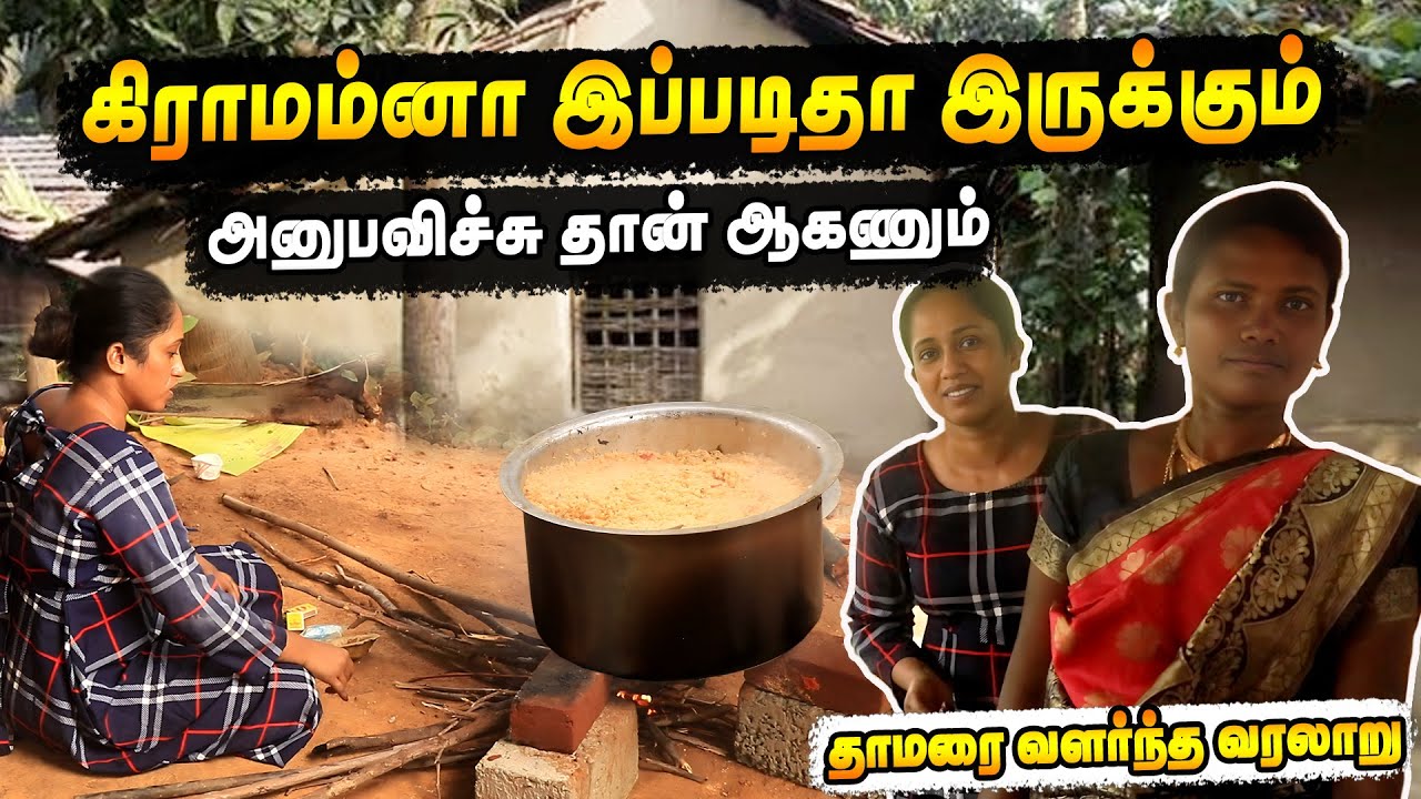 நான் இங்கத்தான் வளர்ந்தேன் கிராமம் இப்படிதான் இருக்கும் |   Thamarai Old House Vlog | LotusFamily👪