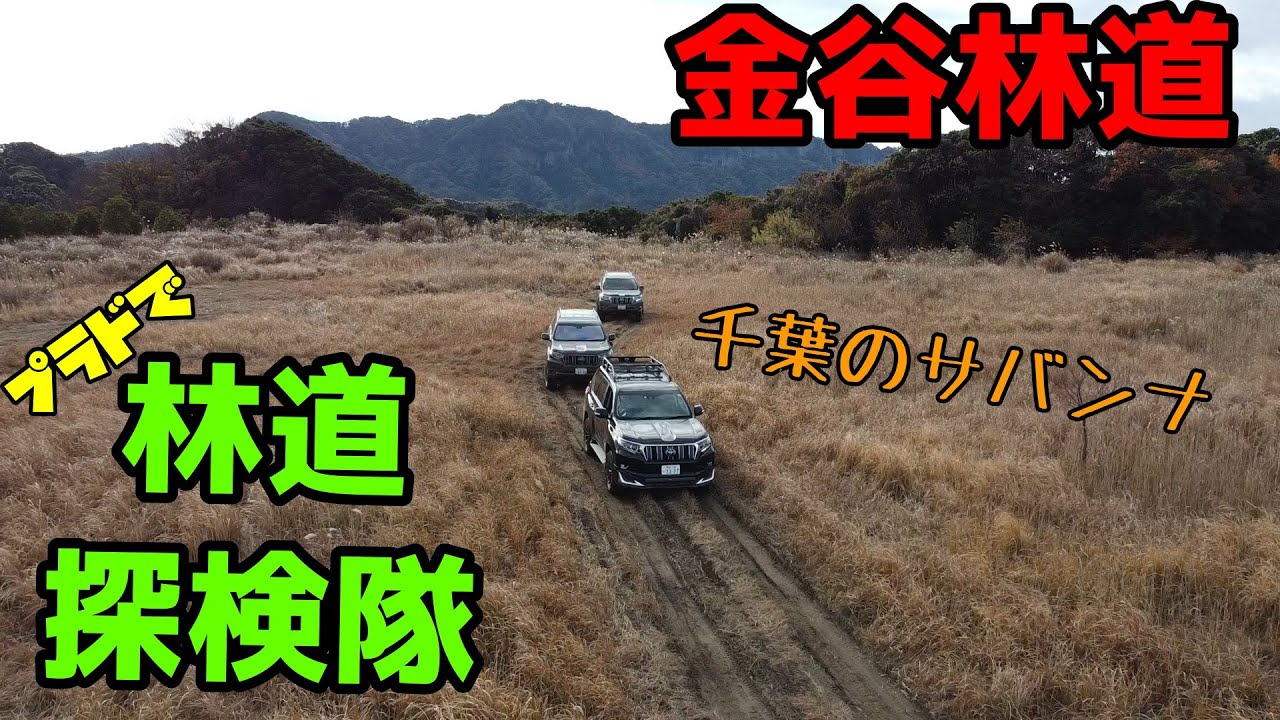 【プラド林道探検隊】プラドで金谷林道を探検してきました！！ほぼオフロード！！