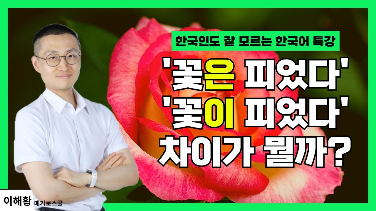 한국인도 잘 모르는 '보조사' 특강 | '버려진 섬마다 꽃이 피었다'와 '버려진 섬마다 꽃은 피었다'의 차이 (김훈 작가)