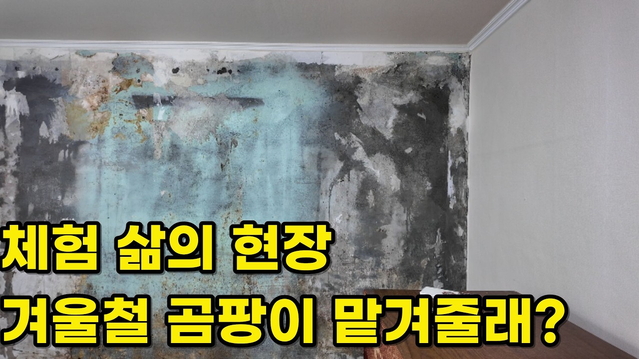 겨울철 곰팡이 완벽 제거! 오늘도 건강한집이었습니다! #곰팡이 #곰팡이방지 #곰팡이제거 #곰팡이예방 #단열 #단열시공 #단열공사 #단열재 #결로 #결로방지