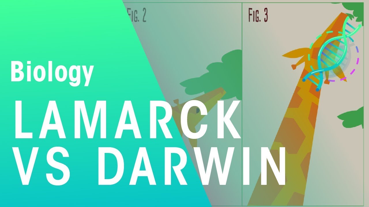 Theories of evolution Lamarck vs Darwin | Evolution | Biology | FuseSchool