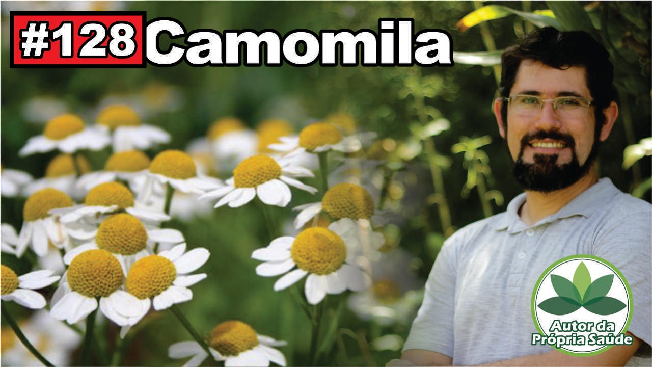 Autor da pr&oacute;pria Sa&uacute;de - Camomila [calmante, analg&eacute;sico, c&oacute;licas, cicatrizante, diabetes]
