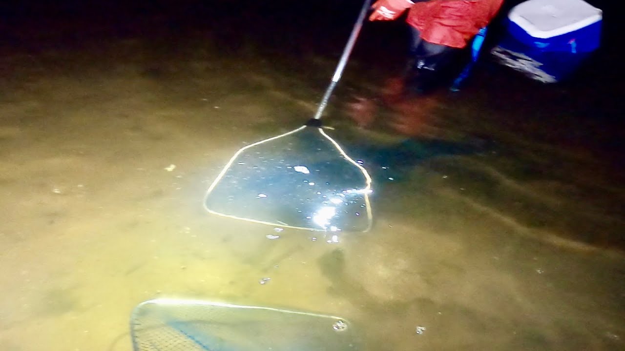 Catching Prawn at Lake Entrance.. it's not easy for beginner. Willytan Peter Style