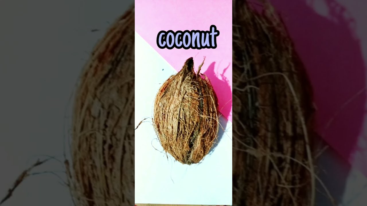 coir of coconut craft #miniature #shorts
