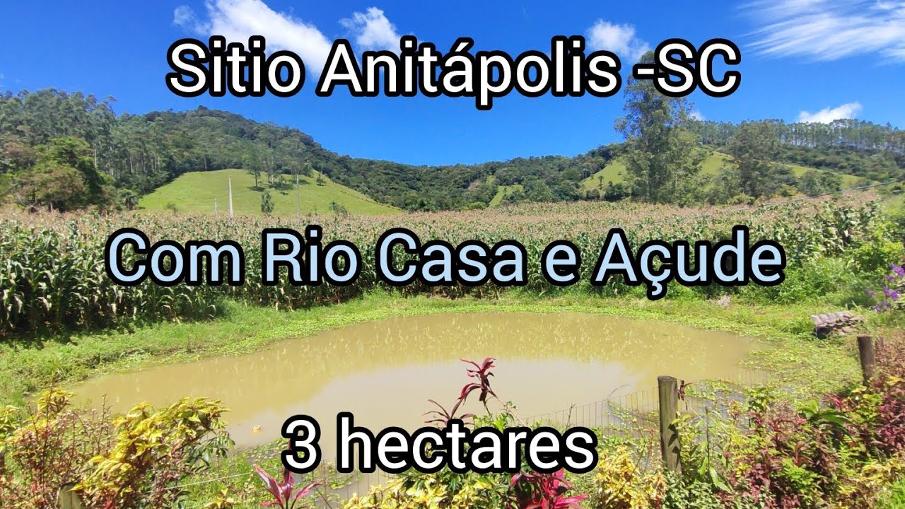 Sitio plano em Anitápolis - SC com casa, riachos, bosque  e terra de plantioR$ 480.000,00