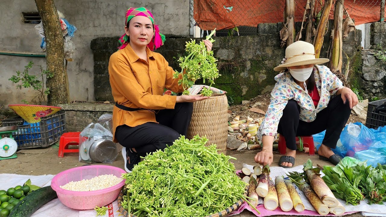 Harvesting Papaya Flowers Going to the market to sell - Building a life at a farmer's house