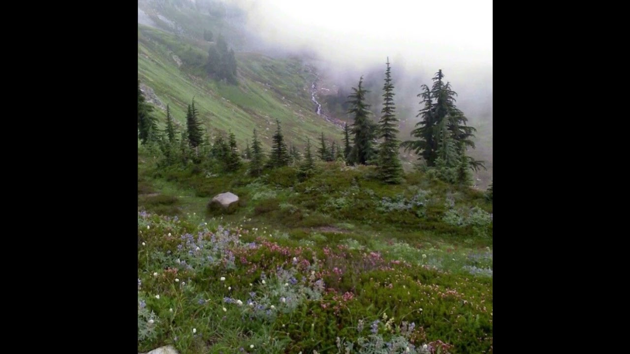 ✧FREE✧ kurai x classic digicore type beat (prod. cr1sis + 1ner0un)