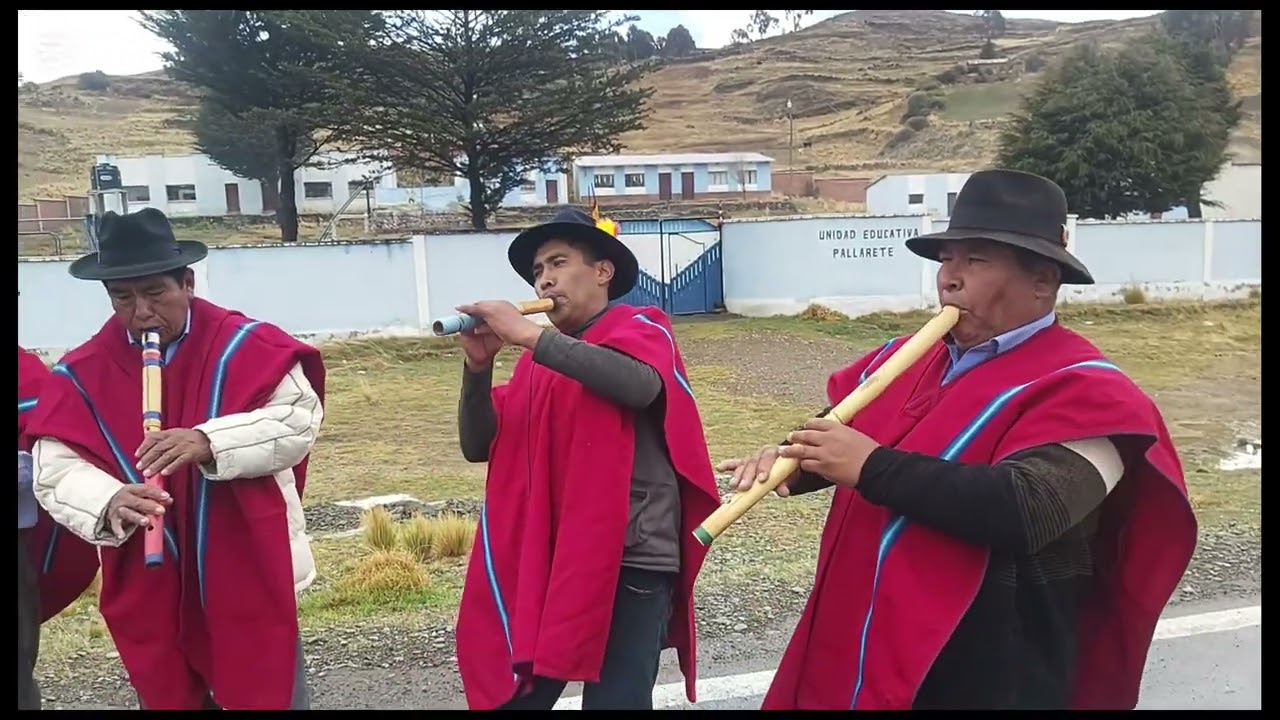 KOYKOS DE COMUNIDAD PALLARETE 2025