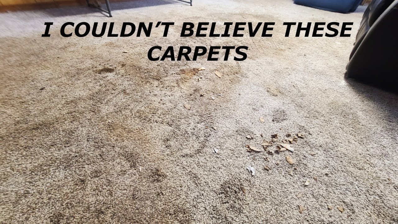 What to do when your carpets are destroyed