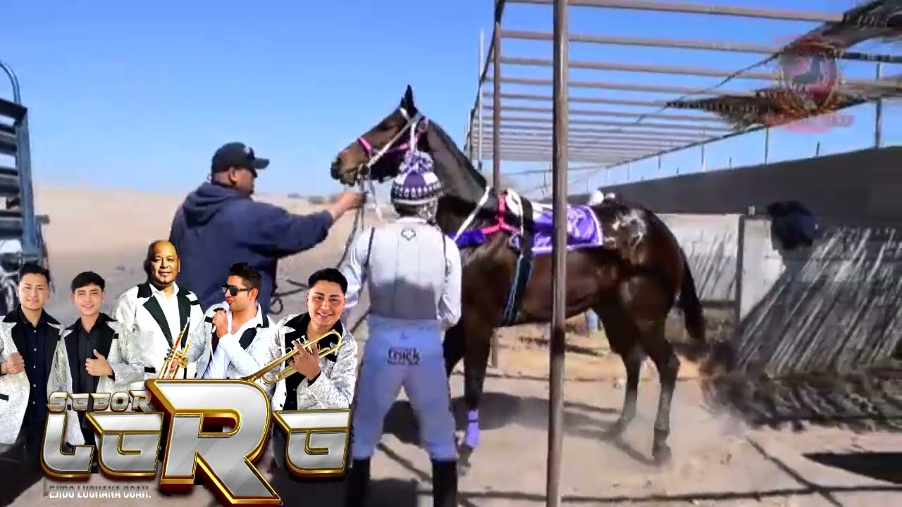 la entalladita Sabor lara en vivo