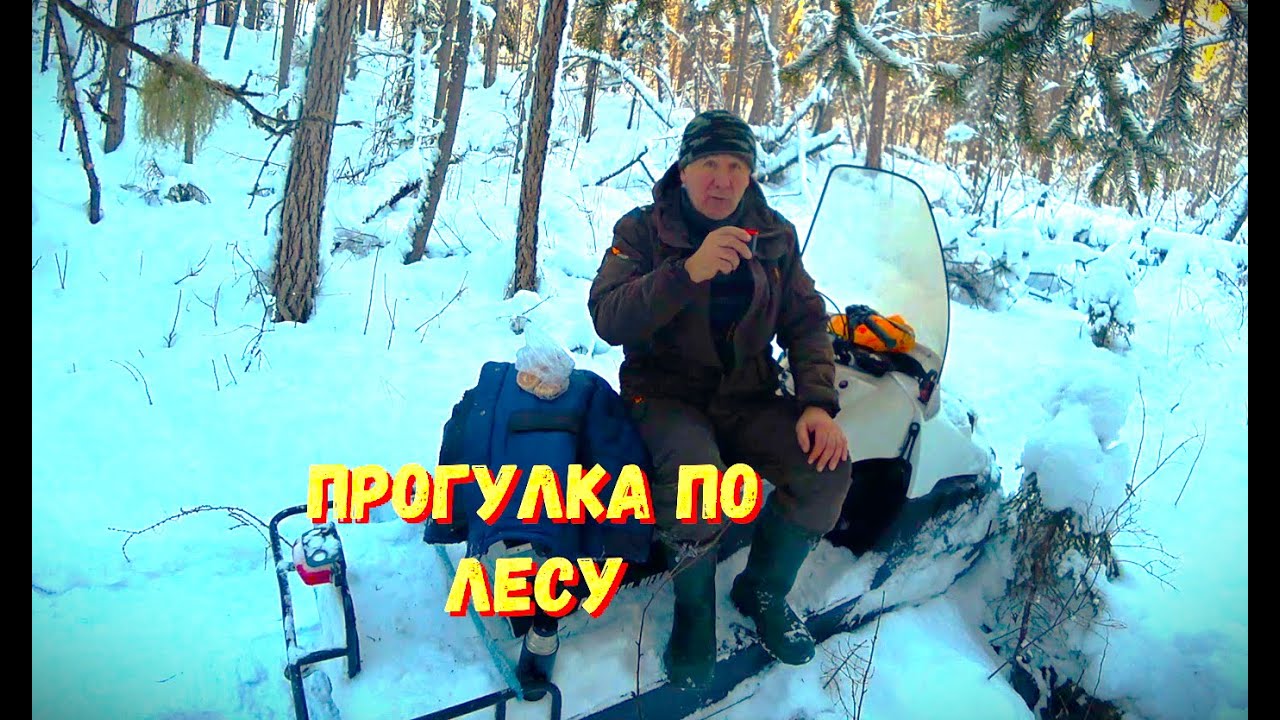 ГДЕ СОБОЛЯ??? КУДА ВСЁ ПРОПАЛО???