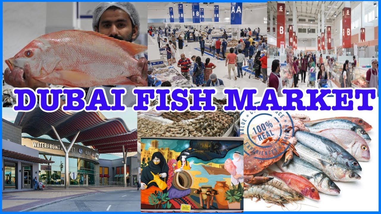 Visit to Waterfront Market Dubai(PART-1)Fish Section| Dubai Fish Market