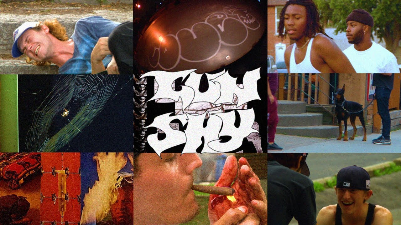GUN SHY