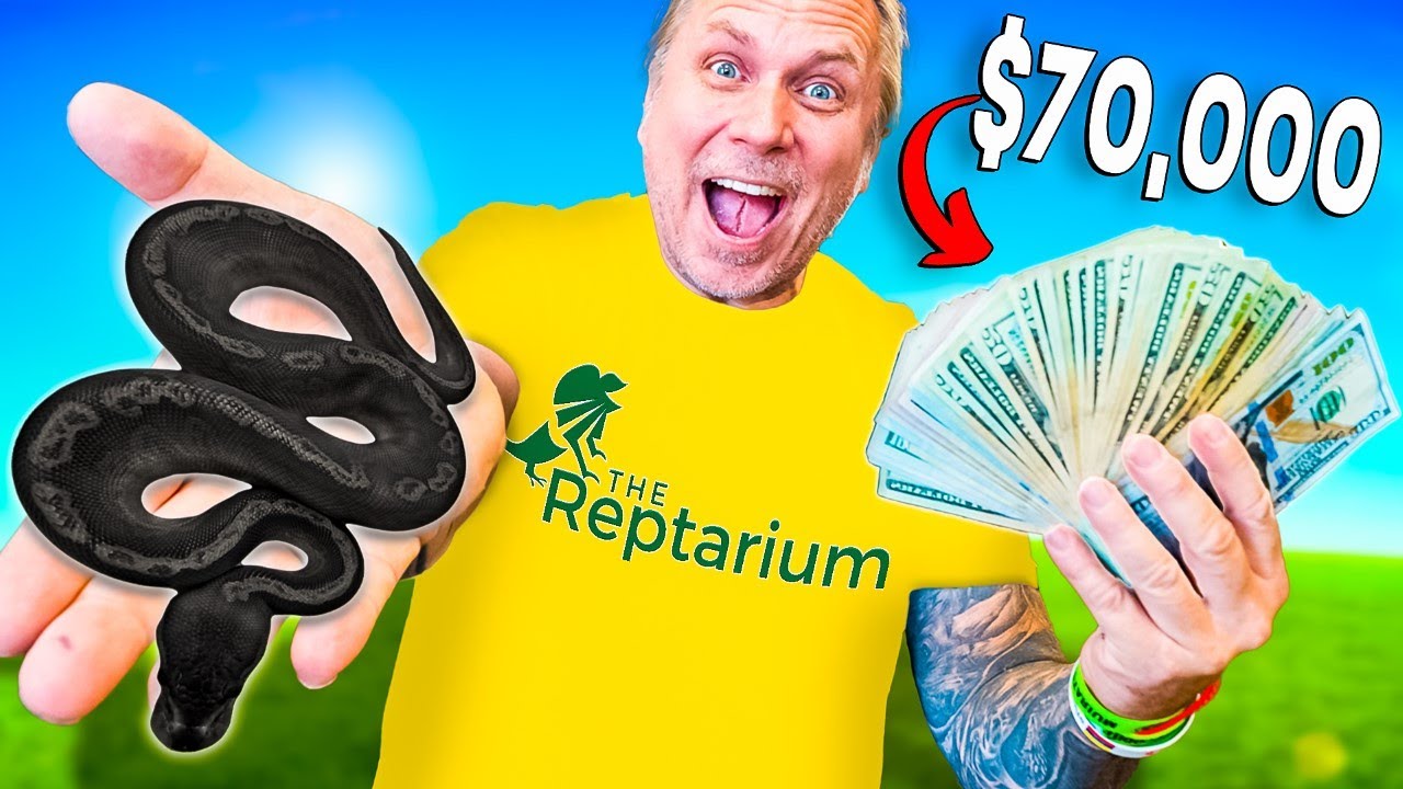 The Most Expensive Snake I Ever Bought! $70,000