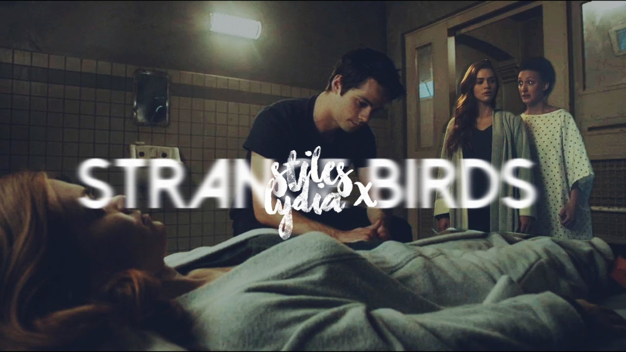 Stiles + Lydia | Strange Birds