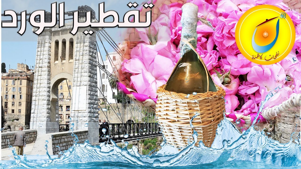 Distillation de l'eau de Rose et de la fleur d'Oranger تقطير الورد والزهر عادة قسنطينية