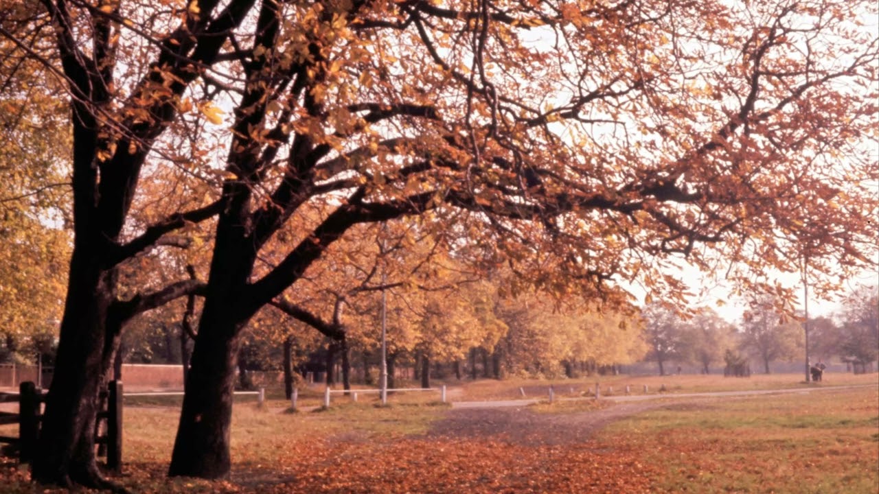London Nature Day By Day Introduction