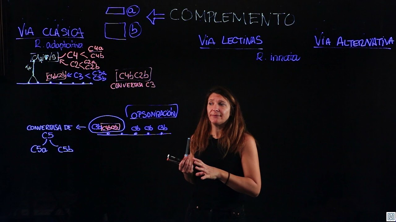 Sistema del complemento