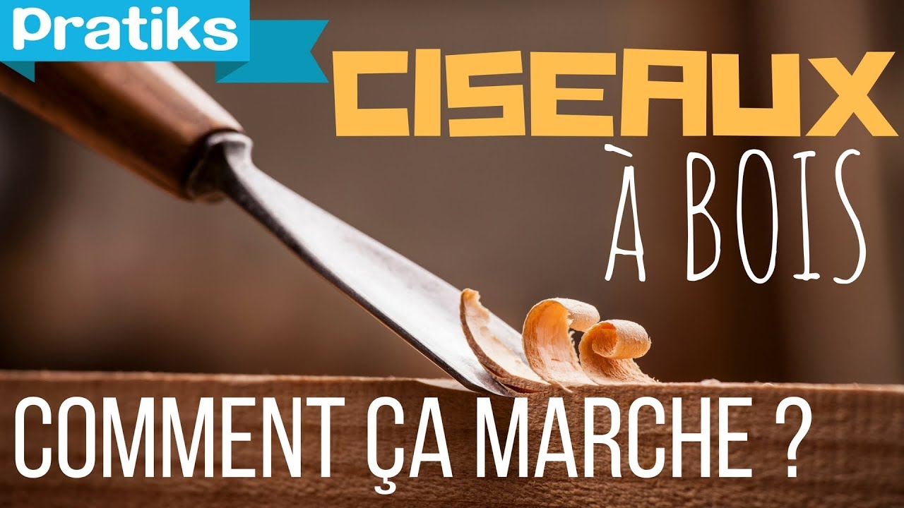 Comment &ccedil;a marche ? Les ciseaux &agrave; bois
