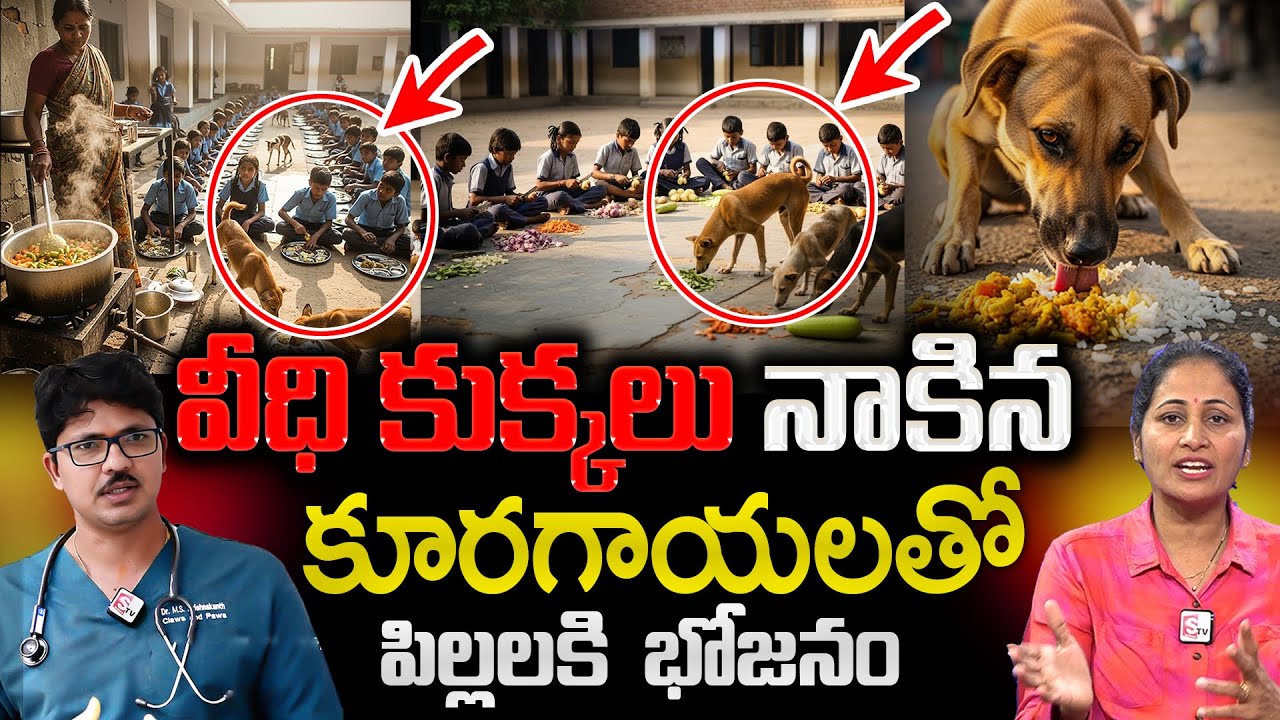 78 మందికి రేబిస్ వాక్సిన్ కుక్క నాకిన కూరగాయలతో భోజనం || Dr. Krishnakanth || anchor Nirupama SumanTv