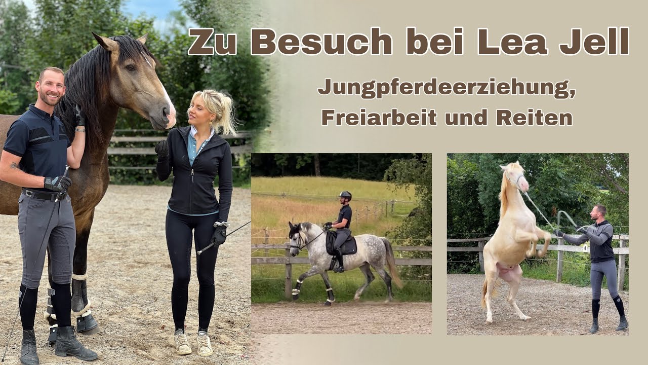 Besuch bei Lea Jell 🐴🥰 Erziehung, Freiarbeit, Reiten