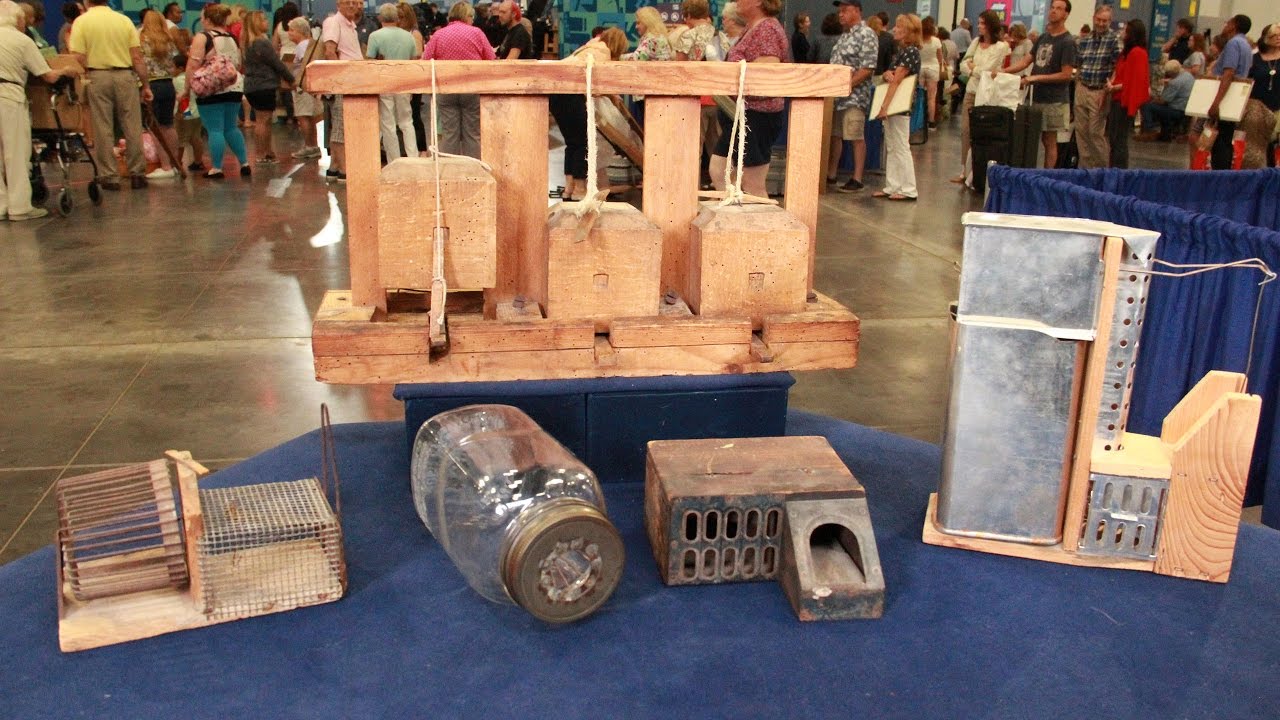 Mouse Trap Collection, ca. 1900 | Web Appraisal | Virginia Beach