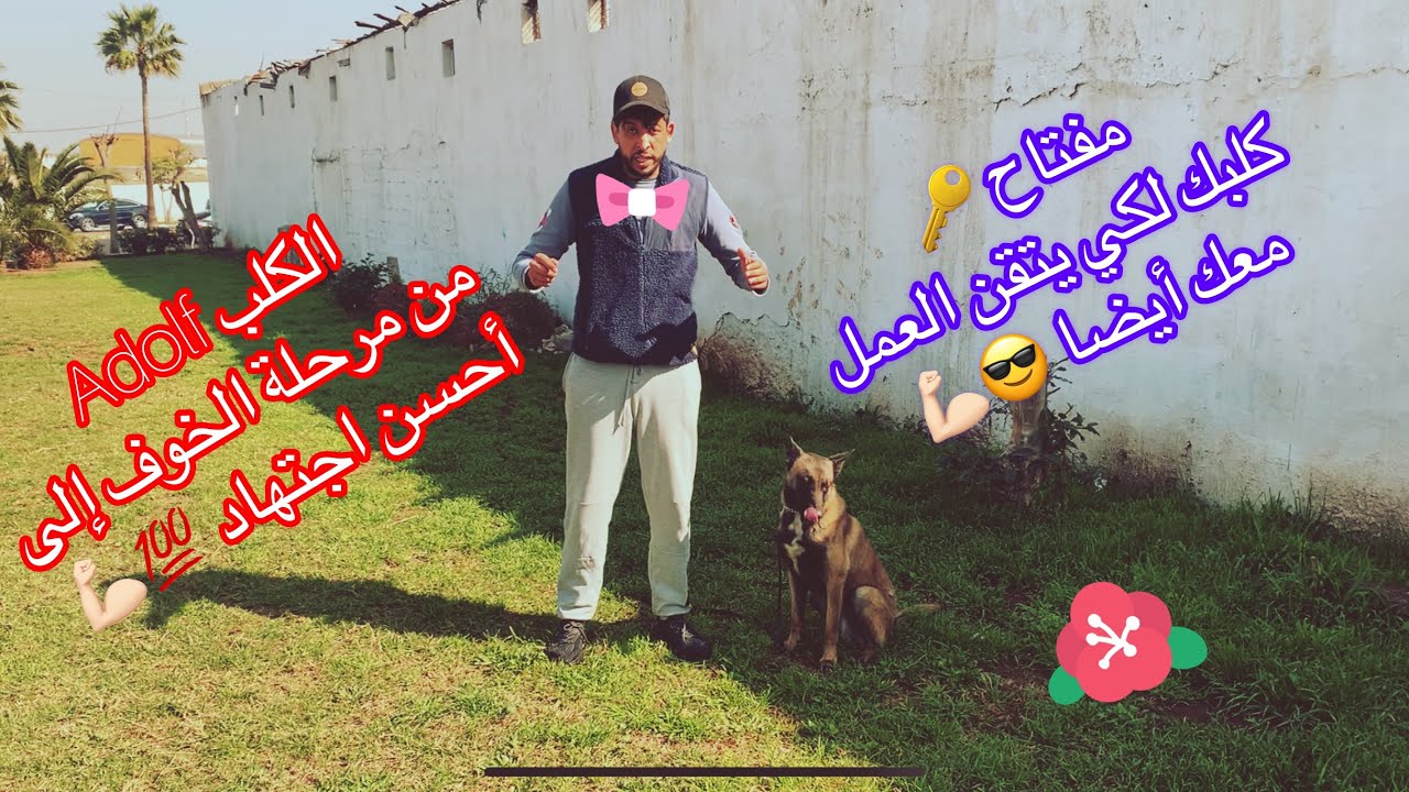 - #مفتاح #الكلب #المروض لكي يتقن العمل مع الزبون أيضا 💯😎🙏🏻🙏🏻