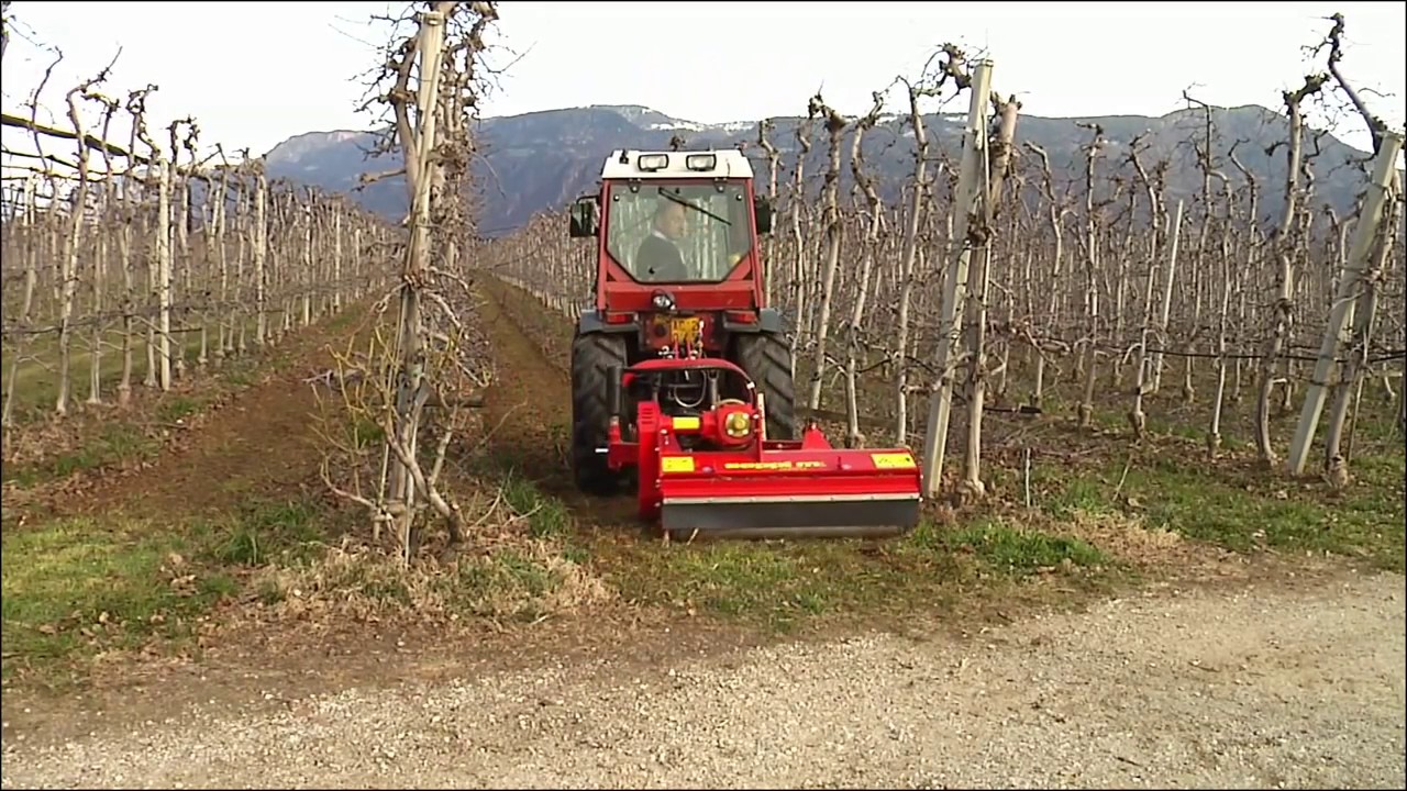 SEPPI M    SMWO flail mulcher   trinciatrice   Schlegelmulcher