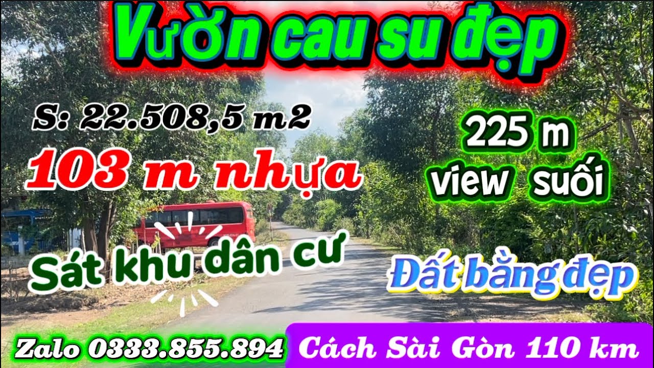 Vườn cau su 2,25 ha 103 m đường 225 m view suối sat khu dân cư Cảch sài gòn110 km giá chỉ 200 tr/ s