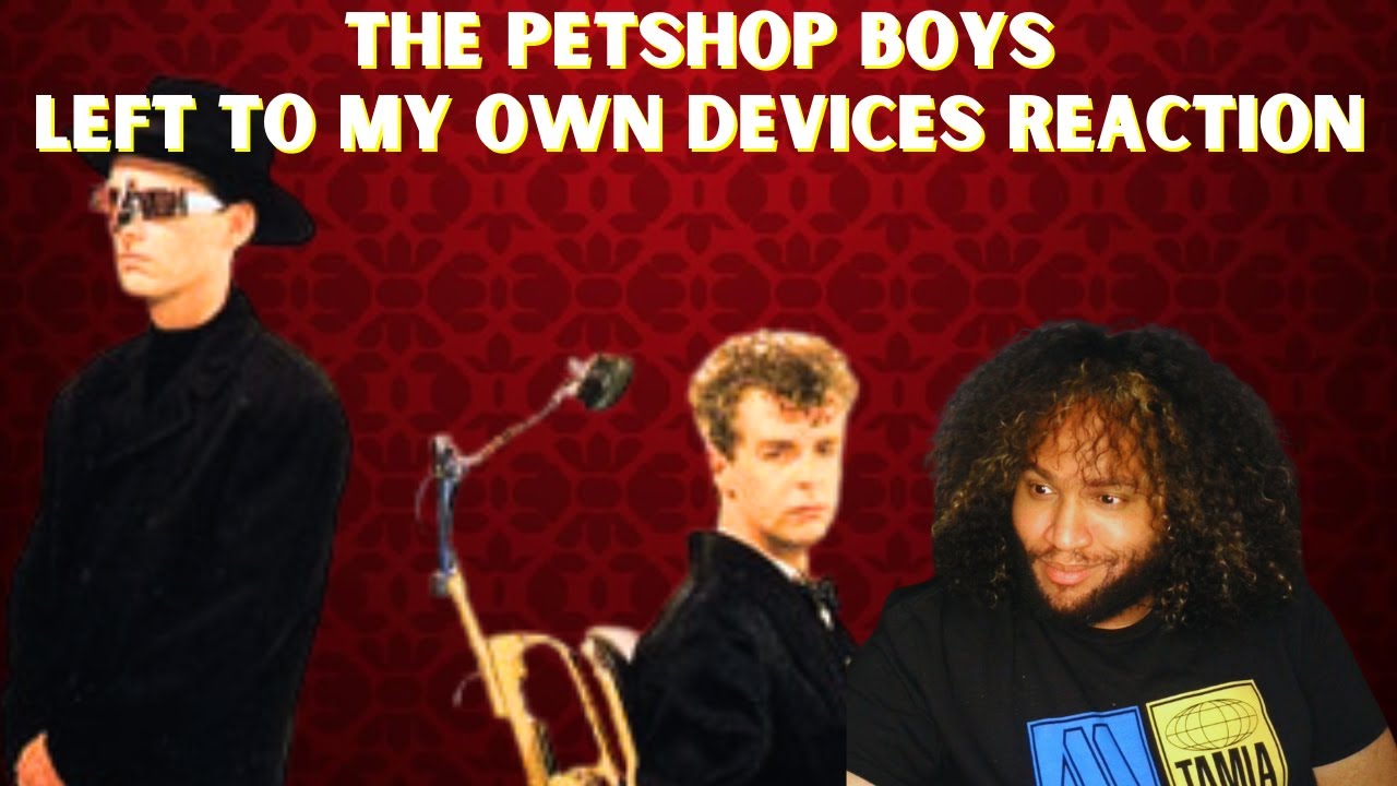 Pet Shop Boys предоставлены самим себе