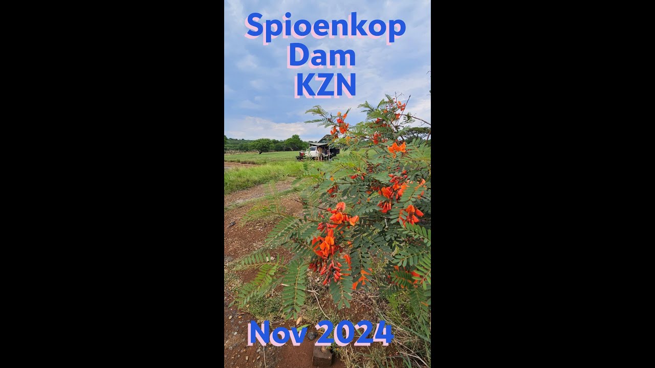 Spioenkop Dam   KZN South Africa November 2024