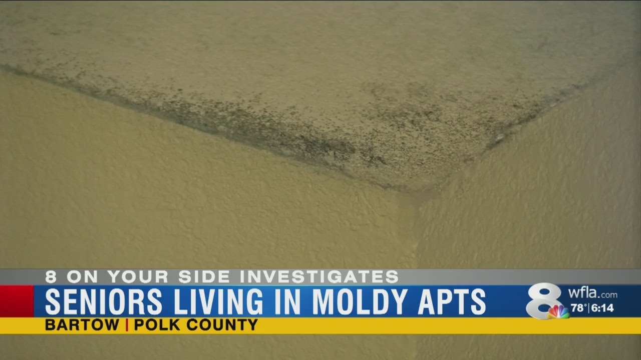 Bartow seniors fear mold in government subsidized apartments is killing them