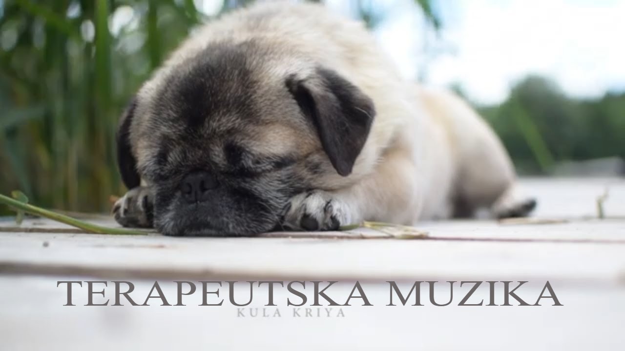 Terapeutska muzika za spavanje