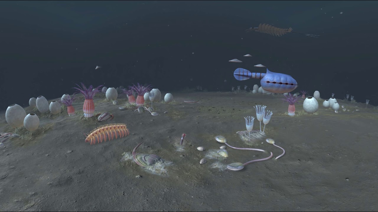 First Animals - Cambrian ocean 360 scene