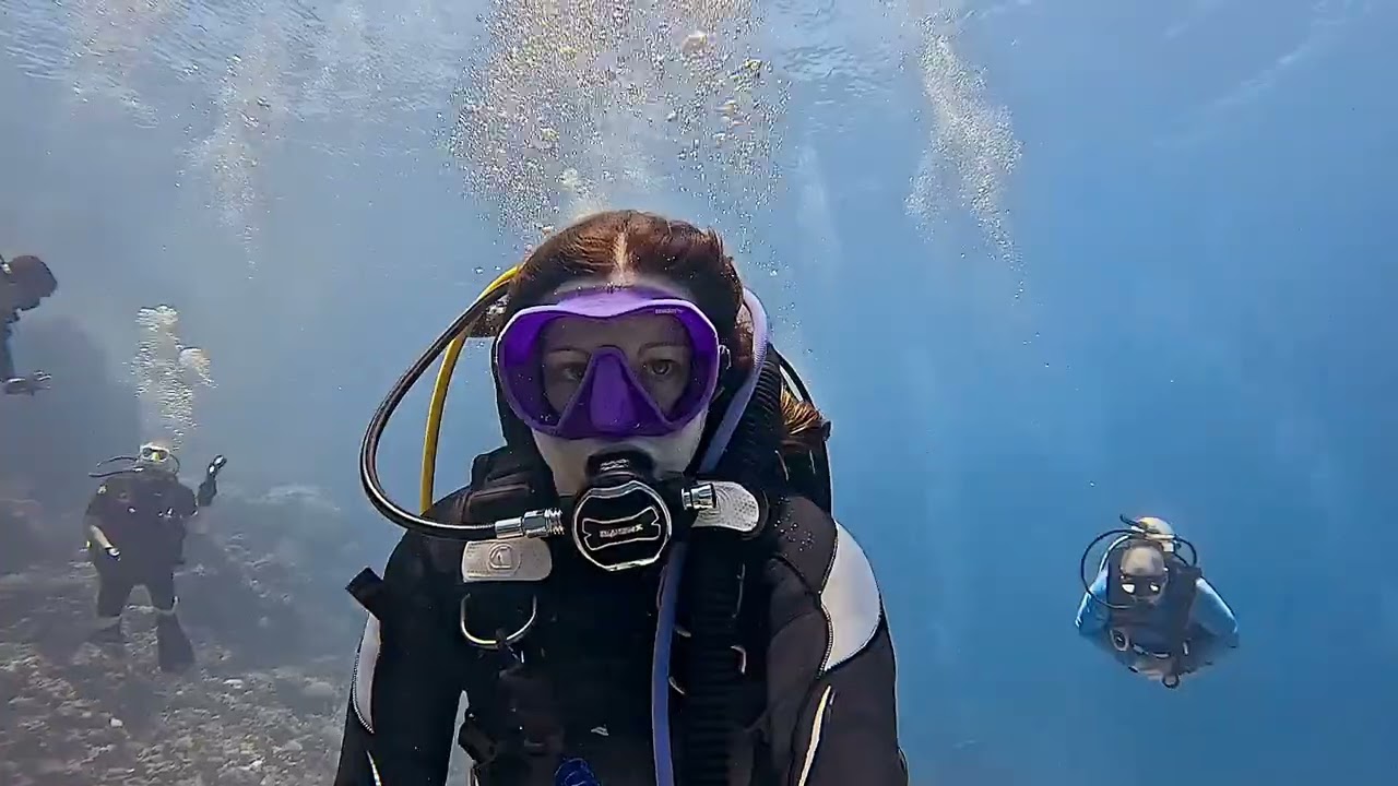 Jackfish Alley Reef, Ras Mohammed Marine Park