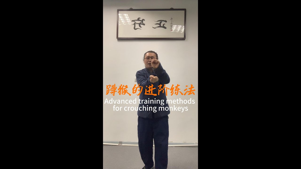 蹲猴的进阶练法 #kungfu #martialarts #chineseculture #内劲 #太極拳 #武術