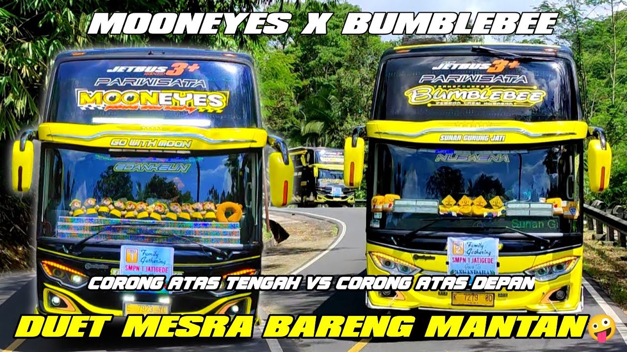 PERDANA JALAN BARENG MANTAN❕ DUET CORONG ATAS FULL BASURI ☺ NGOYOD MOONEYES SAMA BUMBLEBEE🤩