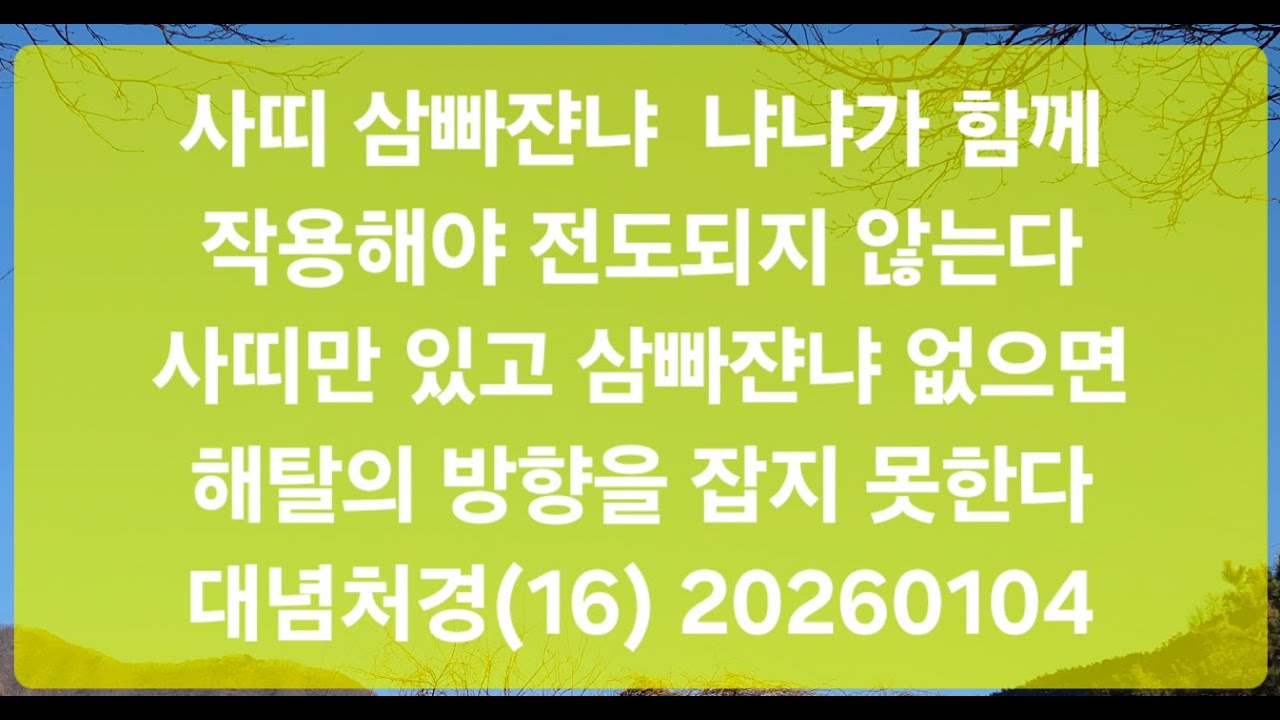 사띠 삼뺘쟌냐 냐냐가 함께 작용해야 전도되지 않는다 사띠만 있고 삼뺘쟌냐만 있으면 해탈의 방향을 잡지 못한다 대념처경(16) 20260104