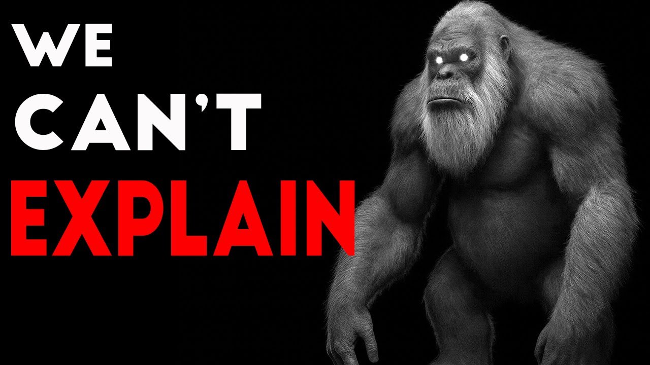 3 Meters and the Strength of 20 Men &ndash; The Prehistoric Primate That Would Send Chills Down Your Spine