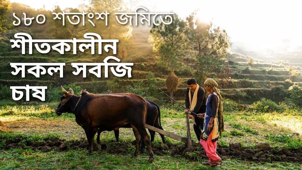 শীতকালে কি কি সবজি চাষ করা হয়। কৃষকের কষ্টের ফসল।#foryou #viralvideo 