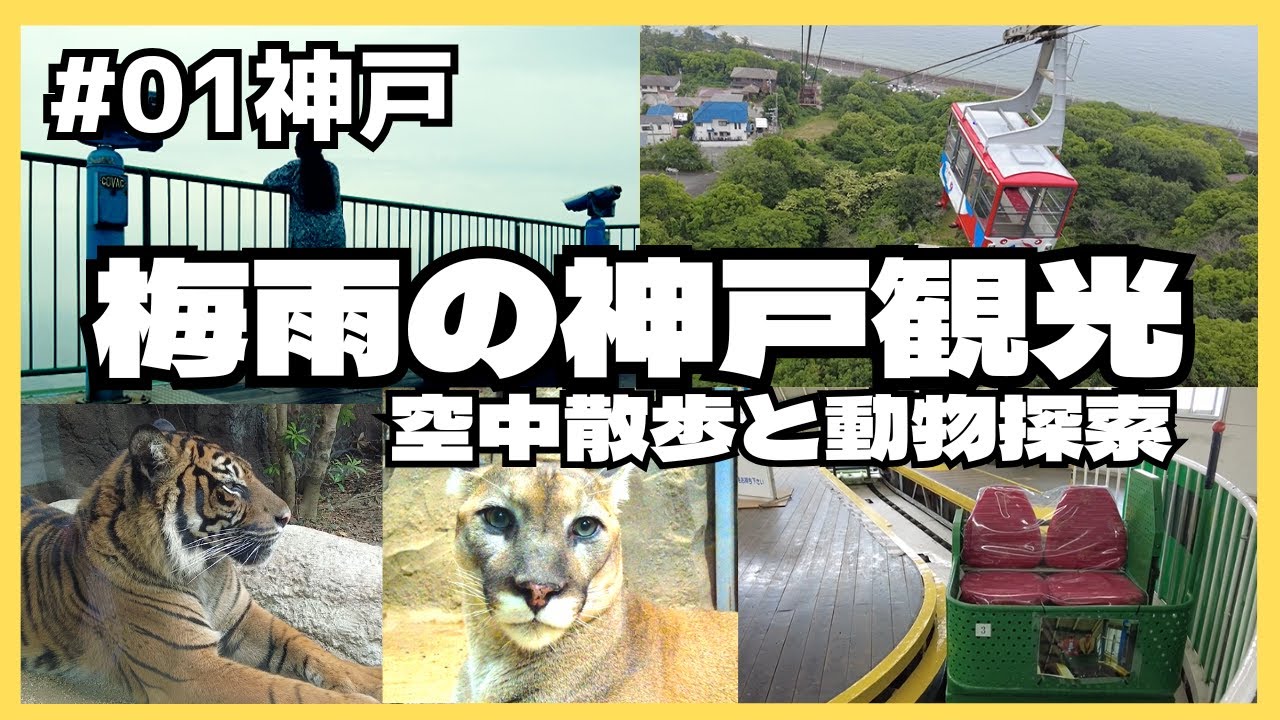 【神戸ひとり旅】梅雨でも快適｜ロープウェイ空中散歩と癒しの動物園〈傘いらずで大正解〉須磨浦公園・神戸どうぶつ王国｜1日目