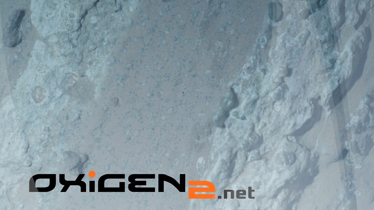 Scheletele NASA ies din debara