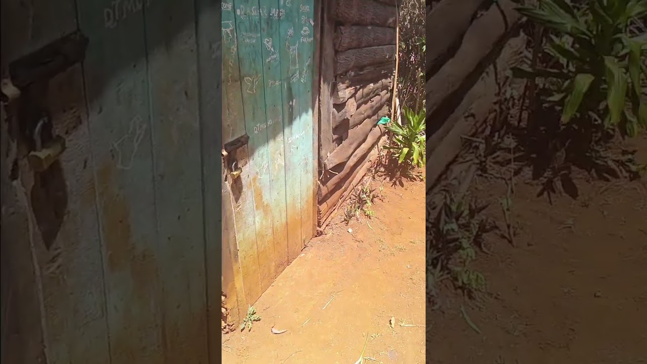 Village life in kiambu ,kenya ,africa